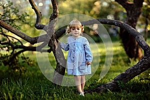 Full body view portrait tiny girl in blue jeans dress, smiling and looking to camera, walking among curved weird trees. Summer