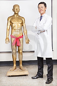 Full of chinese medicine doctor and human body Acupoint model