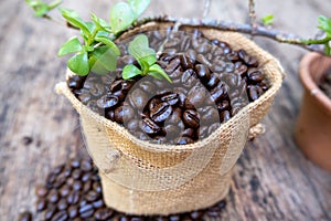 Full of coffee beans spilling out bag on brown wooden background