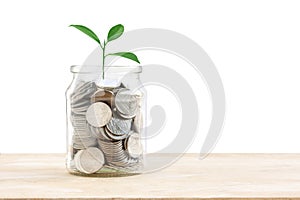 Full coins in a glass jar and plant growing on top with copy space for text, how to keep money, saving money for your child