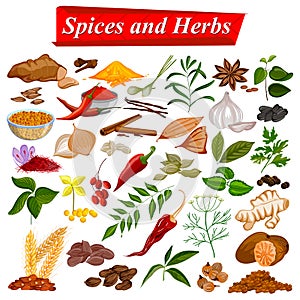 Full collection of aromatic Spices and Herbs used for cooking