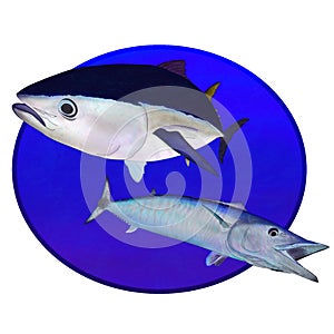 Bluefin tuna and a wahoo fish in a blue circle