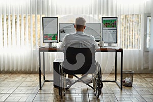 Full concentration. Back view of young male trader in a wheelchair looking at computer monitor while working in modern