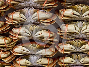 Full Crabs on Ice selling at Market