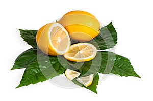 Full and cross section of yellow lemon
