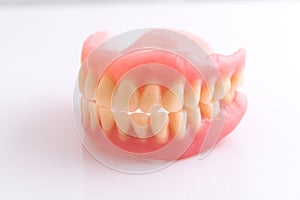 Full denture on white background