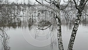 Full-flowing river in gloomy weather, after the spring ice drift.