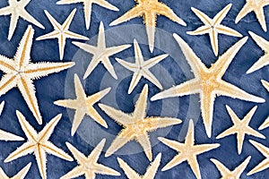 Full frame background of dried starfish