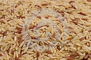 Full frame of brown rice and red rice. Selective focus