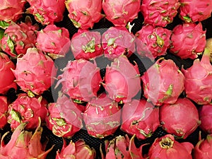 Full frame close-up background of vibrant colored fresh pink tropical pitaya - dragon fruit in rows