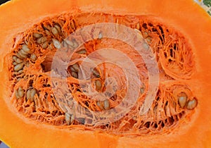 Full frame close up photo of half sliced pumpkin with seeds