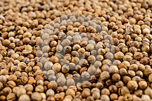 Full frame of coriander seeds. Selective focus