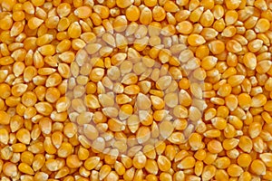 Full frame of corn cereal