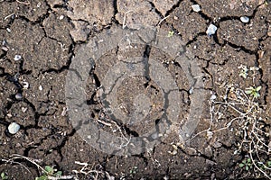 Full frame of cracked dirt. Background of cracked and dried earth. Cloudy day.