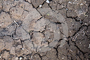 Full frame of cracked dirt. Background of cracked and dried earth. Cloudy day.