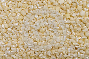 Full frame of crushed white corn kernels