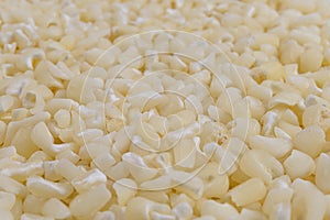 Full frame of crushed white corn kernels. Selective focus