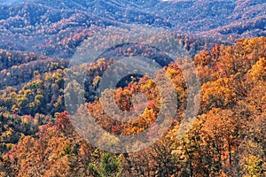 Full frame fall autumn Great Smoky Mountains covered with colorful trees