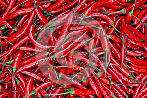 Full frame of fresh red chili pepper.