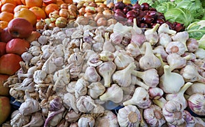 Full frame of garlic bulbs and cloves and onions