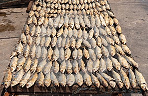 Full frame image of salted Mackerel fish