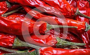 Full frame macro closeup of isolated shiny red raw chili peppers with green pedicle