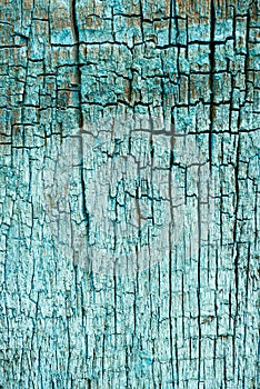 full frame of old turquoise wooden texture