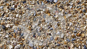 Full frame pebble dash background with multiple coloured embedded stones