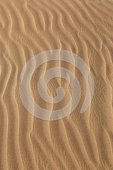 A full frame photograph of ripples in sand