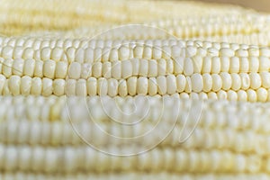 Full frame and selective focus photo of fresh, organic corn