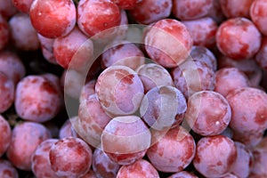 Full frame shot of a bunch of red grapes.