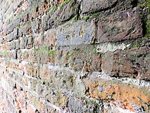 Full frame old red brick wall with moss