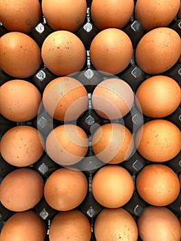 Full Frame Shot Of Eggs In Cartoon