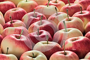 Full frame shot of red yellow apples