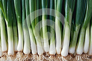 Full Frame Shot Of Spring Onions
