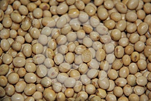 Full frame of soy beans (Glycine max). Organic and fresh photo