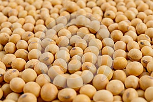 Full frame of soybeans.