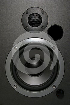 Full Frame Speaker