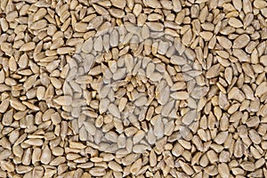 Full frame of sunflower seeds