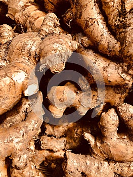 Full frame of texture, Group of Gingers For Sale At Market