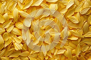 Full frame of uncooked yellow conchiglie pasta creating a textured background