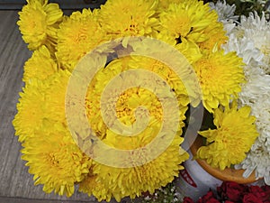 Full frame view of yellow crysanthemum flower