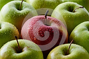 full frame of water drops on green and red