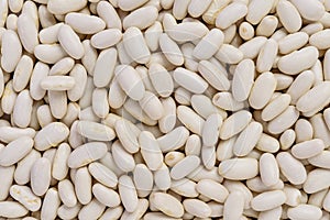 Full frame of white bean grains.