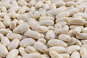 Full frame of white bean grains.