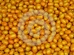 Yellow miniature plum tomatoes, Borough Market, London, UK