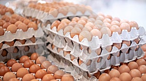 Full fresh eggs of paper tray from hen farm in the package that preserved for sale in wholesale and retail market