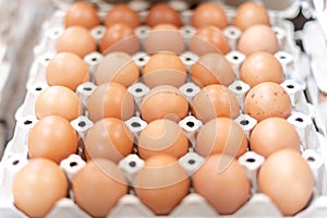 Full fresh eggs of paper tray from hen farm in the package that preserved for sale in wholesale and retail market