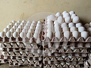 Full fresh eggs of paper tray from hen farm in the package that preserved for sale in wholesale and retail market