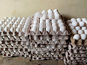 Full fresh eggs of paper tray from hen farm in the package that preserved for sale in wholesale and retail market